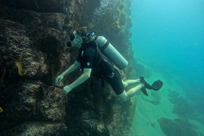 Los Cabos Open Water Diver Course - Who This Course Fits Best (And Who Might Need a Plan)