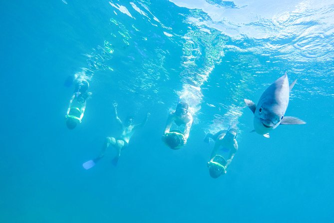 Los Cabos Power snorkel Adventure, Kayaking and Stand-Up Paddle - Key things that make this tour worth your attention