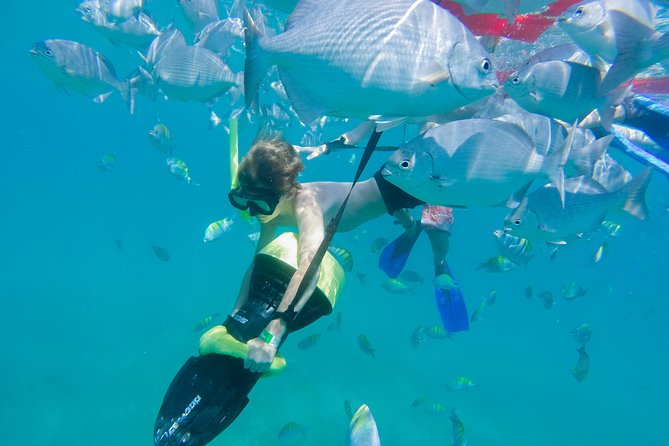 Los Cabos Power snorkel Adventure, Kayaking and Stand-Up Paddle - Price and real cost: what $99 gets you (and the add-ons)