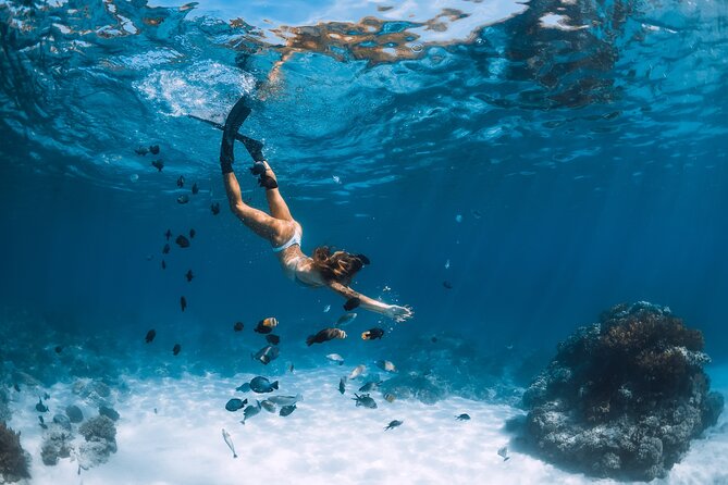 Los Cabos Power snorkel Adventure, Kayaking and Stand-Up Paddle - The ride and the stops: Cabo Adventures, Playa el Chileno, El Arco