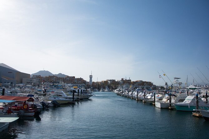 Los Cabos Private City Tour with Guide - Cabo San Lucas Walk Through: Souvenirs and Street-Level Views