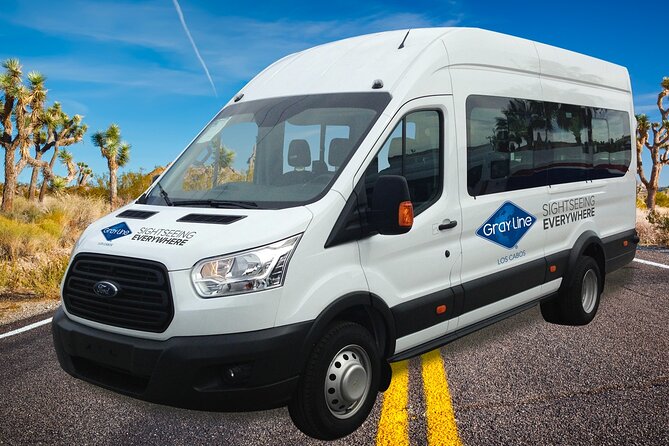 Los Cabos Private Mini-van Round-Trip Transfer - Meeting the driver: what “easy pickup” really depends on