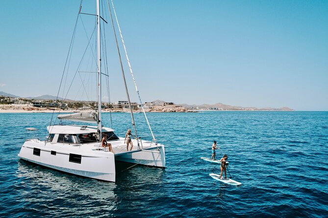 Los Cabos Seasonal Whale Watch and Snorkel Tour - Key highlights to know before you go