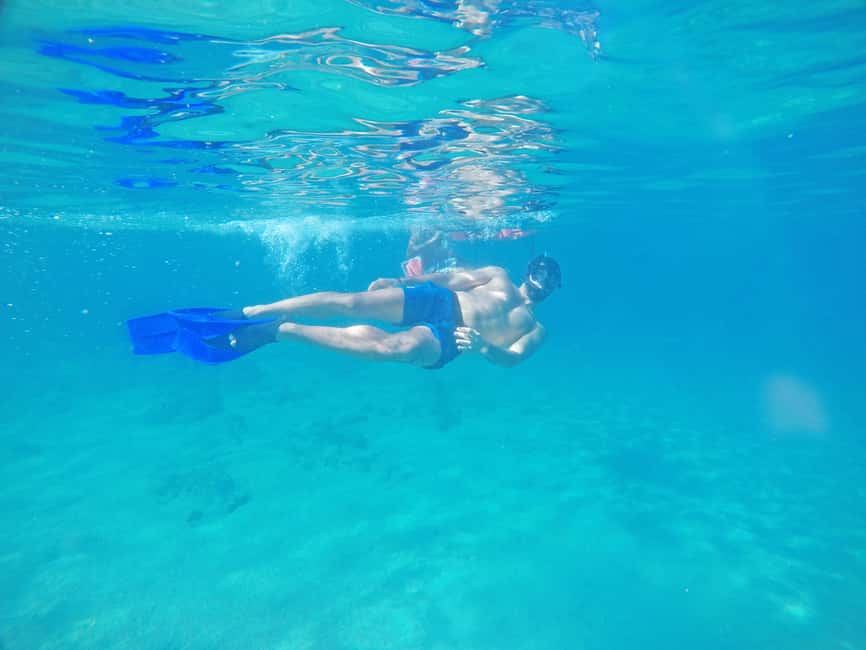 Los Cabos: Snorkeling Cruise with Lunch - Key things to know before you go