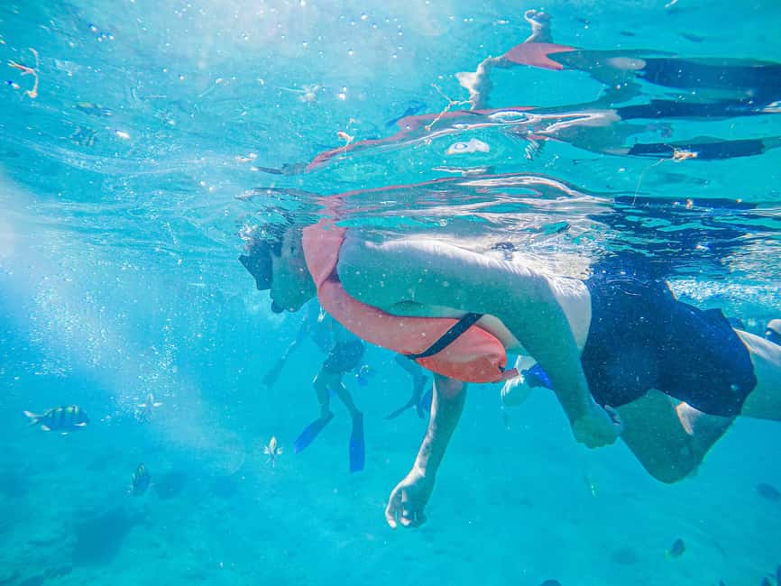 Los Cabos: Snorkeling Cruise with Lunch - A 3.5-hour Los Cabos snorkel day, built for the fun factor