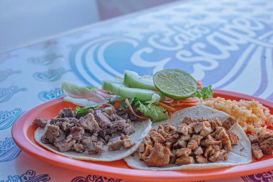 Los Cabos: Snorkeling Cruise with Lunch - Who this Los Cabos snorkeling cruise suits best