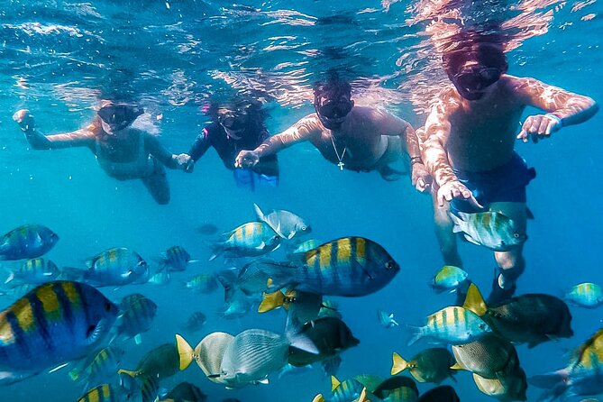 Los Cabos Snorkeling Tour by Speed Boat with Photos Included - Key things that make this tour worth your time