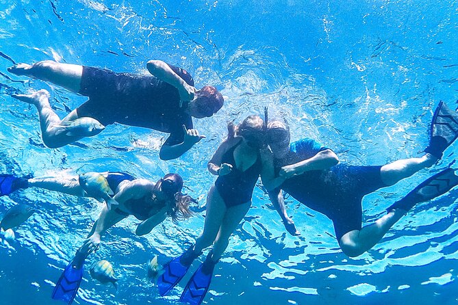 Los Cabos Snorkeling Tour by Speed Boat with Photos Included - Snorkeling time: uncrowded spots where fish-watching is the point