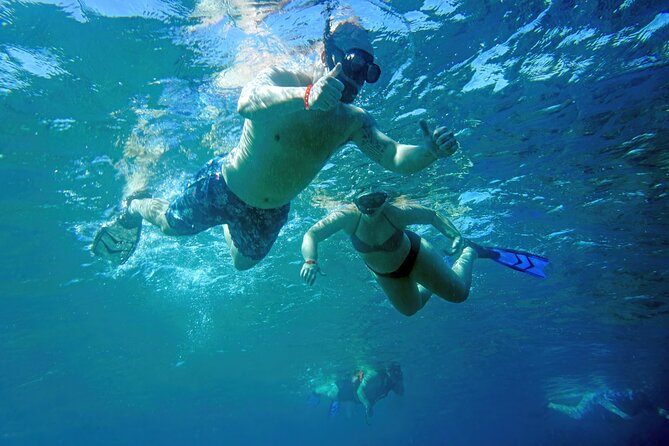 Los Cabos Snorkeling Tour by Speed Boat with Photos Included - Price and value: why $89 can actually make sense
