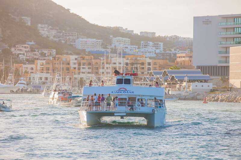 Los Cabos: Sunset Dinner Cruise with Transportation - Wildlife chances: sea lions now, whales in winter