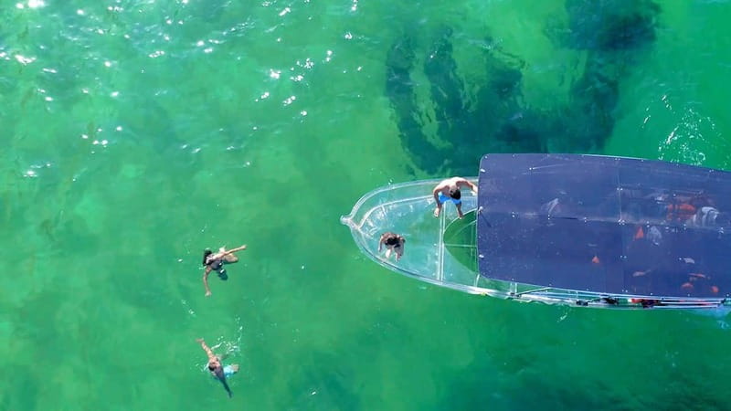 Los Cabos: Transparent Boat Tour with Optional City Tour - Price and what’s actually included (plus the 100 MXN dock fee)