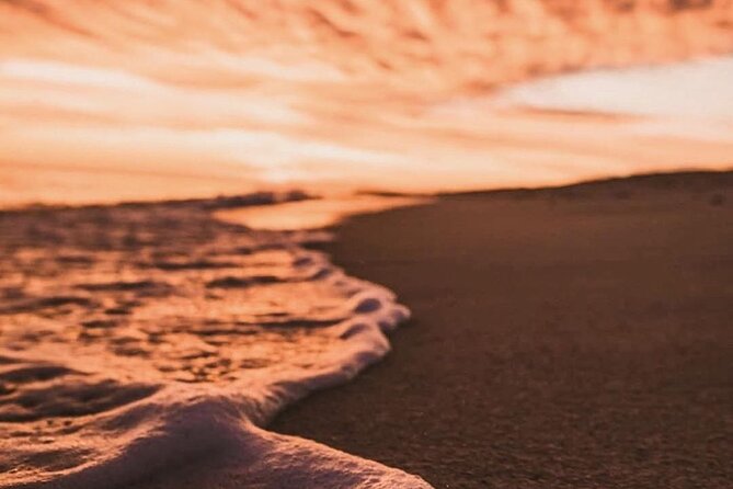 Los Cabos turtle release conservation program - Stop 1: Rancho Carisuva and the Short Ranch Introduction