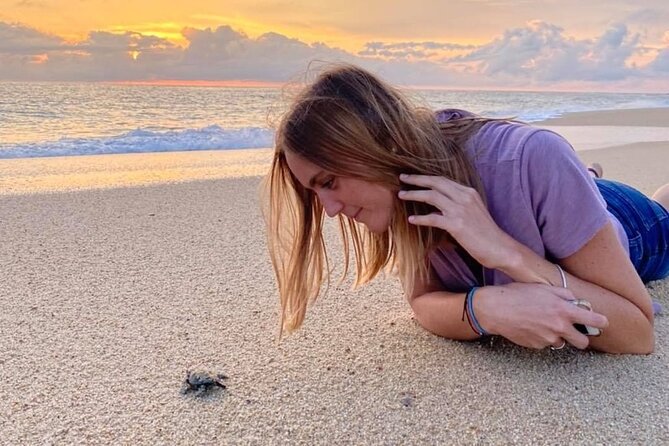 Los Cabos turtle release conservation program - What’s Included (and What You Should Bring)