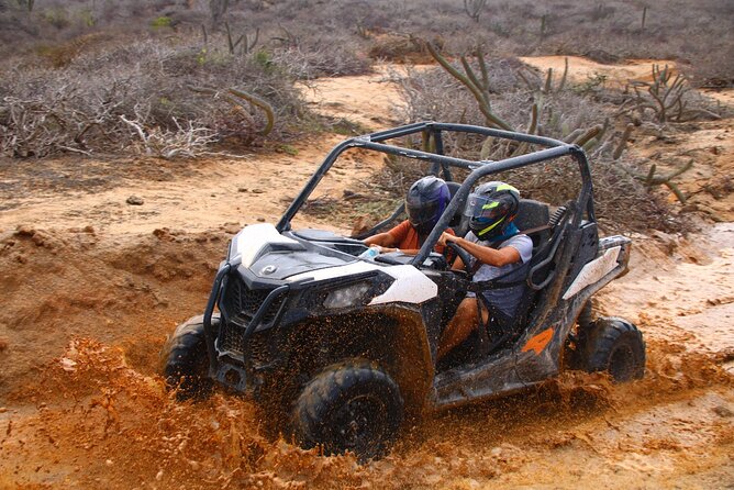 Los Cabos UTV Outdoor Experience to the Hidden Arch - Key things to know before you book the Hidden Arch UTV ride