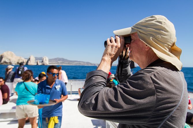 Los Cabos Whale Watching Cruise Including Breakfast - Scenic stops that set the scene: Arch of Cabo San Lucas and Lovers Beach