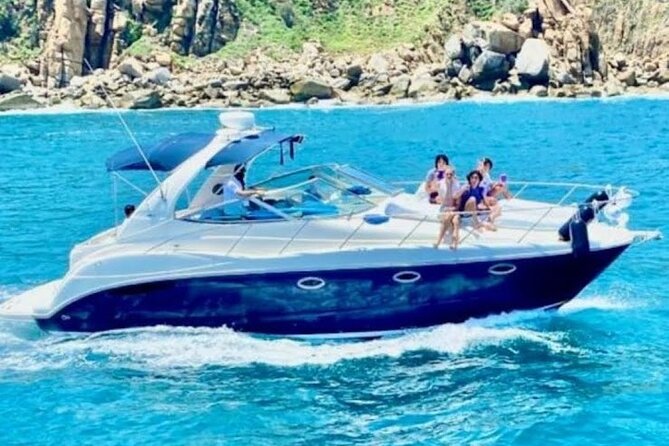 Los Cabos Whale Watching & Snorkel Adventure with Food & Drinks - Who this tour fits best (and who might want a different plan)