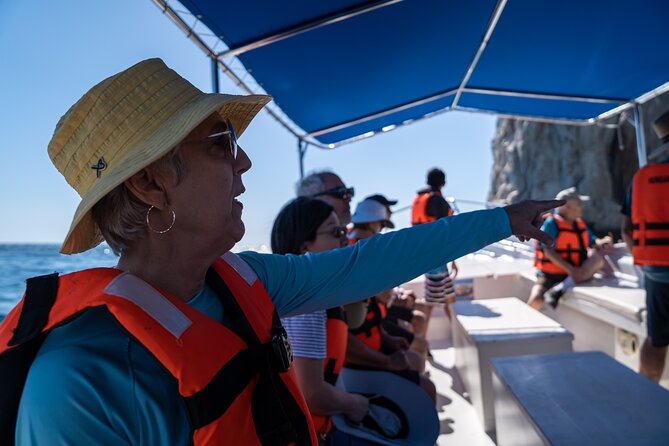 Los Cabos Whale Watching (Transportation and Pictures Included) - Photos included: how to get more than blurry whale shapes