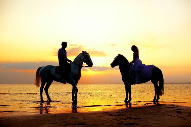 Love is in the air: Private Cabo Beach Sunset Horse Ride W Dinner - Key highlights you’ll care about