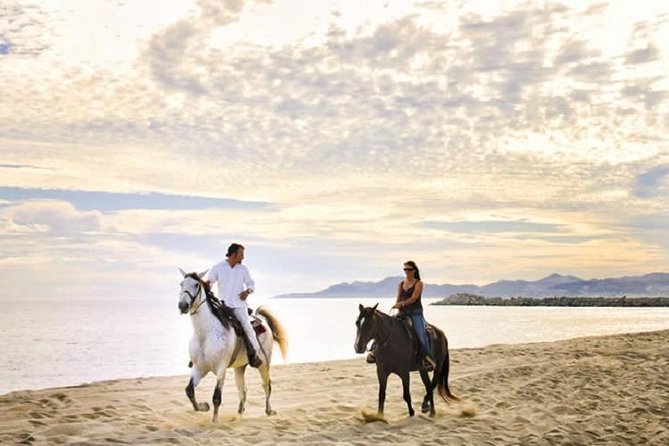 Love is in the air: Private Cabo Beach Sunset Horse Ride W Dinner - A 4:00 pm Cabo sunset schedule with built-in romance