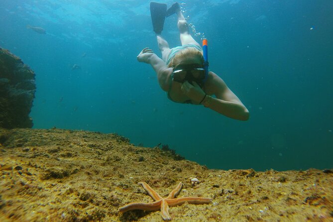 Luxury 42' Yacht Tour in Cabo for Snorkeling and Sunset - Paddle Boarding Without the Crowds: A Real Bonus on Calm Days