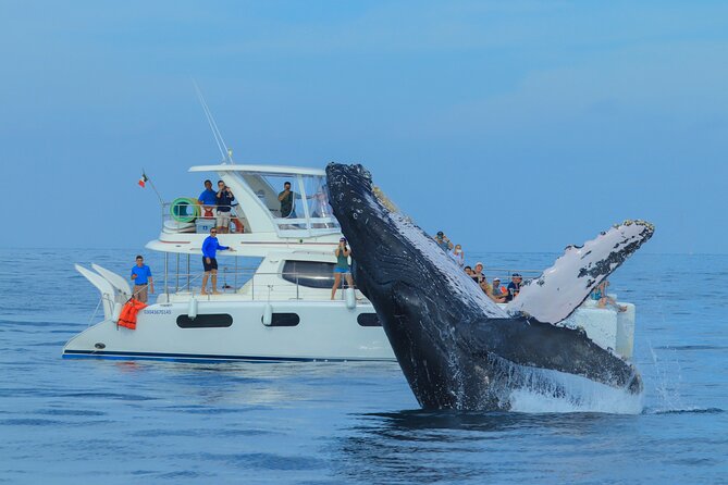 Luxury Catamaran Whale Watching Cabo San Lucas - Luxury Catamaran Whale Watching: What You’re Actually Buying