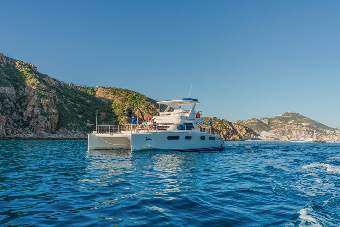Luxury Catamaran Whale Watching Cabo San Lucas - Arch of Cabo San Lucas Stop: Sea Lions and Fast Photo Wins