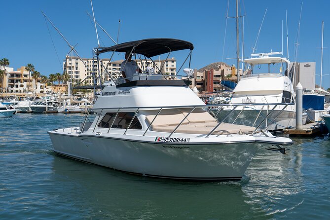 Luxury Private Yacht Charter in Cabo San Lucas Mexico - Sea Lions and Scooby-Doo Rock: The Fun, Quirky Stops