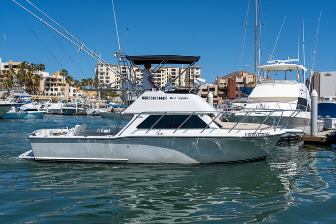Luxury Private Yacht Charter in Cabo San Lucas Mexico - Price and Value: What $400 Per Group Really Covers