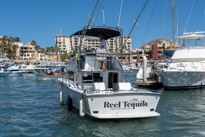 Luxury Private Yacht Charter in Cabo San Lucas Mexico - Should You Book This Private Yacht Charter?