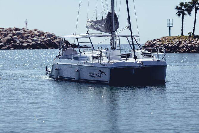 Luxury Snorkel Adventure in Cabo - Santa Maria Bay or Chileno Bay snorkeling in a protected marine park