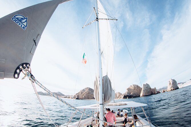 Luxury Snorkel Adventure in Cabo - Wildlife, plus standout crew moments that make it feel expensive