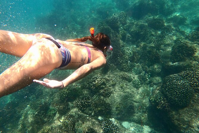 Luxury Snorkel Adventure in Cabo - Sailing Cabo San Lucas: El Arco, Lovers Beach, and the two-oceans view