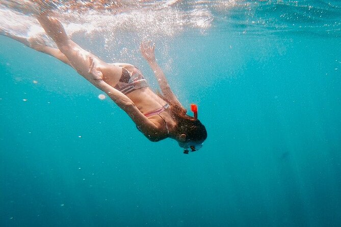 Luxury Snorkeling Tour in Cabo San Lucas - Chileno Bay Natural Reef Snorkeling: When It Shines (and When It Might Not)