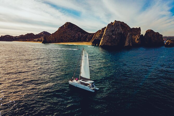 Luxury Whale Watch Cruise to The Arch Los Cabos - Price and Logistics: What You Pay vs. What Costs Extra