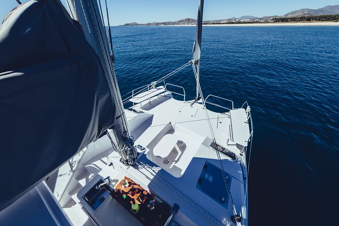 Luxury Whale Watch Cruise to The Arch Los Cabos - Your 2-Hour Route: Cabo San Lucas, the Arch, Then Whale Search