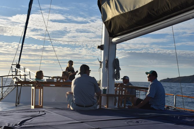 Luxury Yacht Snorkeling & Lunch Cruise from Cabo San Lucas - Who this tour is best for (and who should reconsider)
