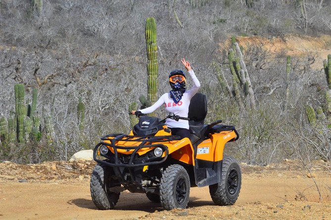 Migriño Beach & Dunes off-road Tour ATV - Tequila Tasting and On-Site Food: A Fun Finish, with Real-World Quirks