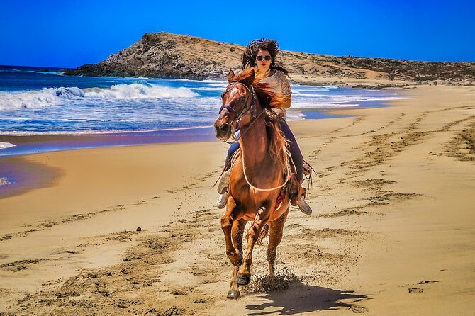 Migriño Beach Horseback Riding Experience - Price and value: the $99 rate plus the park cash fee