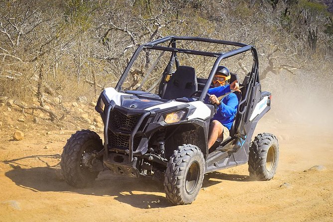 Migriño & Desert off-road Tour UTV Adventure - Price and value: $110 plus entrance fees and add-ons
