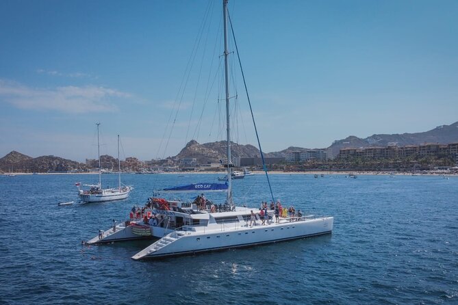 Multimillion Yacht Cabo Cruise Sunset or Snorkel Optional PICKUP! - Whales and snorkeling: what to expect without getting your hopes hijacked