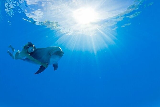 Must-DO The only and Unique Natural Space Dolphin Encounter Cabo - Key Things That Make This Dolphin Encounter Worth Your Time