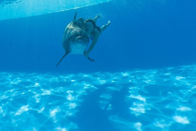 Must-DO The only and Unique Natural Space Dolphin Encounter Cabo - Your Bottlenose Lesson: Teaching From the Dolphin’s View