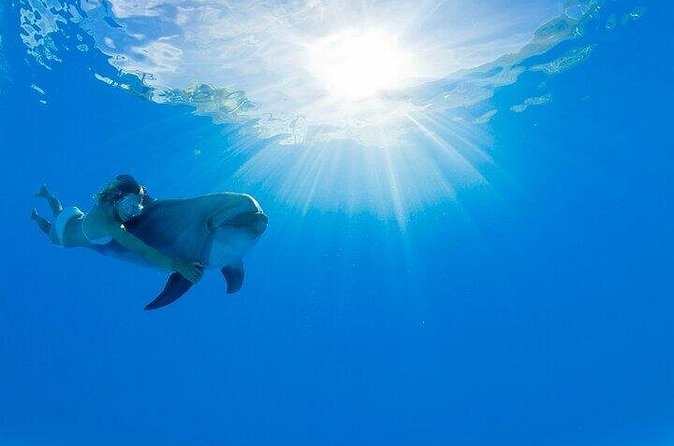 Must-DO The only and Unique Natural Space Dolphin Encounter Cabo - Price and Value: Why $131.66 Can Make Sense