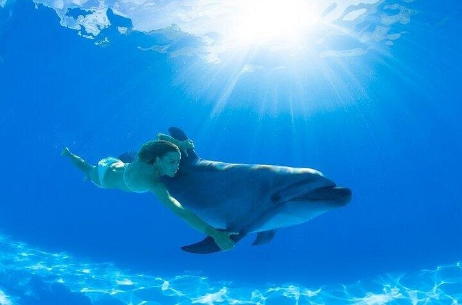 Must-DO The only and Unique Natural Space Dolphin Encounter Cabo - Who This Dolphin Encounter Is Best For (and Who Should Skip It)