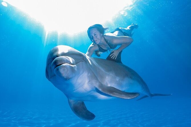Must-DO The only and Unique Natural Space Dolphin Encounter Cabo - Interaction Time: Gear, Safety, and How to Get Better Photos