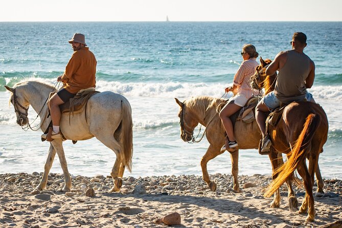 NEW!! Combo ATV & Horseback Ride. Beach & Desert. Tequila Tasting - Guides who keep it fun and safe (José, Chino, and Antonio get named)