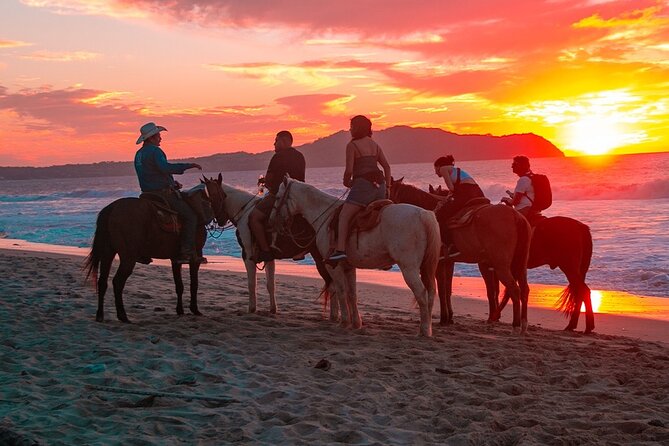 NEW!! Combo ATV & Horseback Ride. Beach & Desert. Tequila Tasting - Tequila tasting: a bonus stop built into the day
