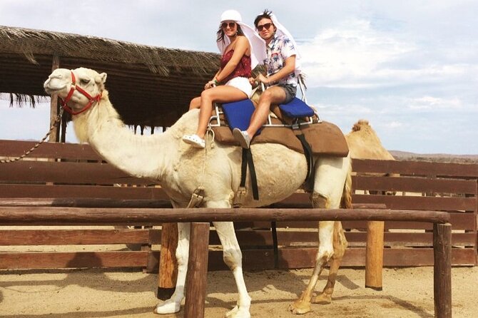 NEW! Combo Camel Beach Ride and UTV 4X4 Cabo Adventure, Tequila & - Key things to know before you go