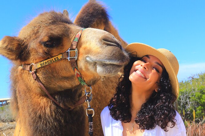 NEW! Combo Camel Beach Ride and UTV 4X4 Cabo Adventure, Tequila & - Price reality check: the day can be a bargain or a shakedown