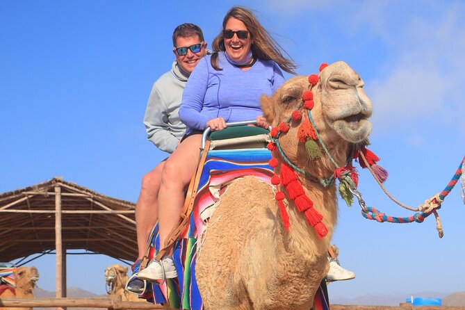 NEW! Combo Camel Beach Ride and UTV 4X4 Cabo Adventure, Tequila & - Off-road vehicles: UTV vs ATV, plus what can go wrong